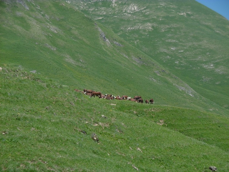 P1030571