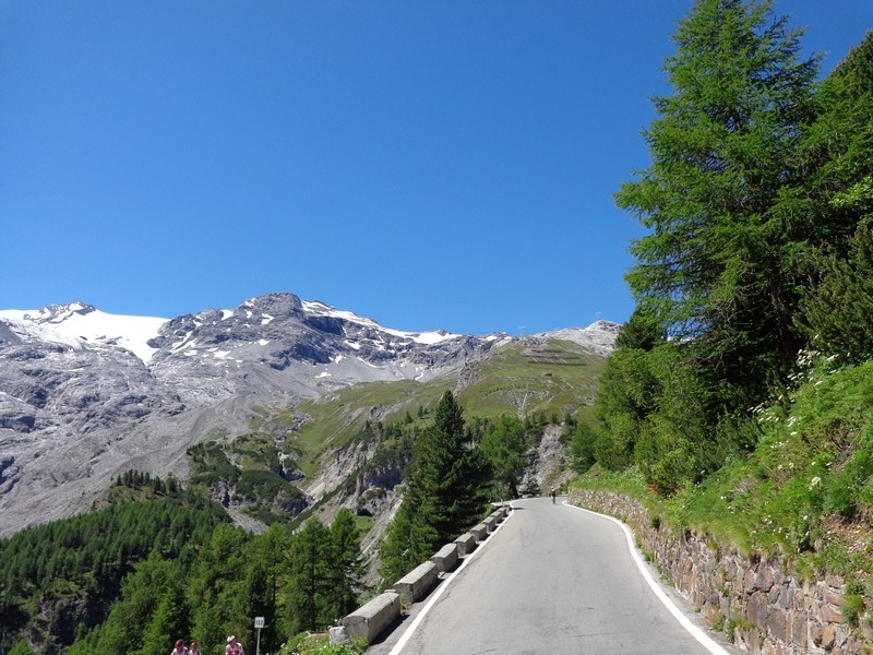 STELVIO