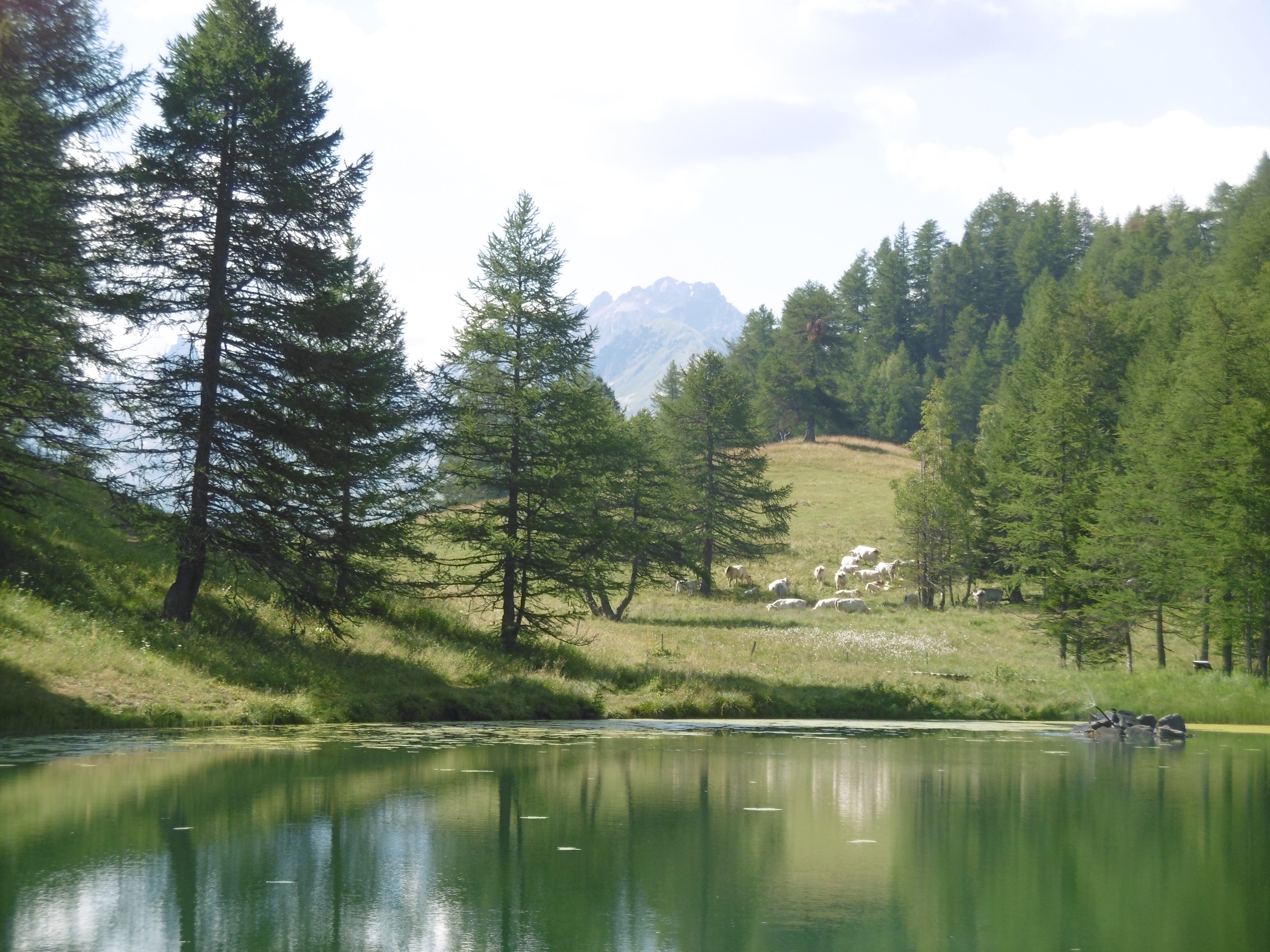 le lac de pramol (2)