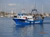 arrivée des bateaux de pêche