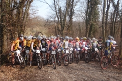 VTT rives 2012