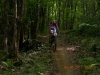 page15-1049-full