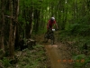 page15-1050-full