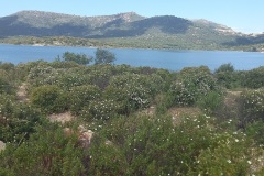 lac-de-Codole