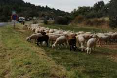 IMG-20240920-WA0020