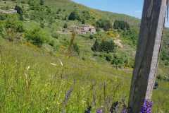 IMG-20250520-WA0034