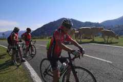 IMG-20210906-WA0017