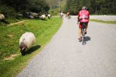 IMG-20210908-WA0012