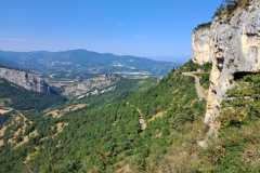 1000007980