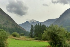 mms_img1998978138