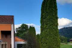 IMG-20220605-WA0003